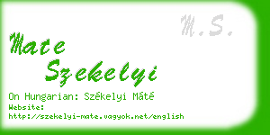 mate szekelyi business card